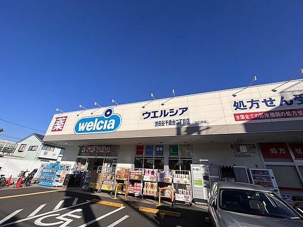 ウエルシア世田谷千歳台二丁目店 500m