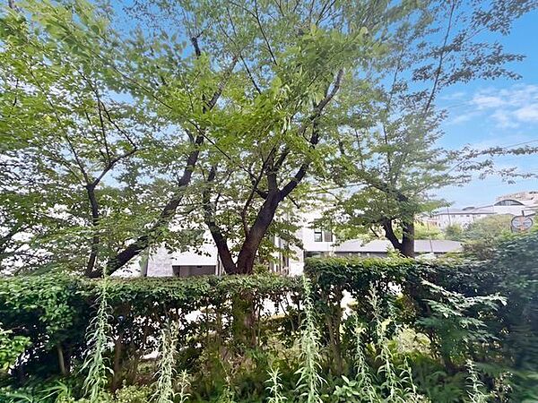 さまざまな表情の景色を眺めながら、くつろぎのひと時をお過ごし頂けます。（空の加工を生成AIで行っています）