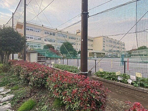 横浜市立太尾小学校 500m
