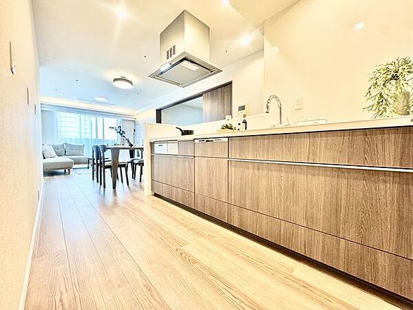 暮らしの中で輝き続けるキッチン。日々の調理を快適にサポート。あなたの暮らしに寄り添うキッチンです。