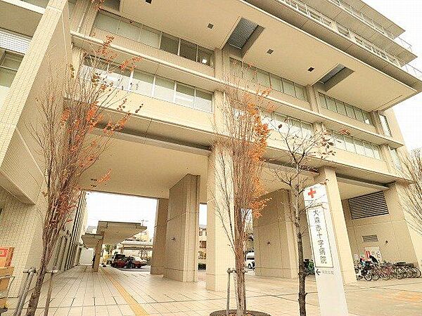 大森赤十字病院 500m