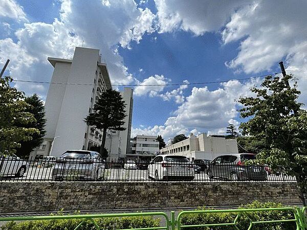 東京慈恵会医科大学附属第三病院 1990m