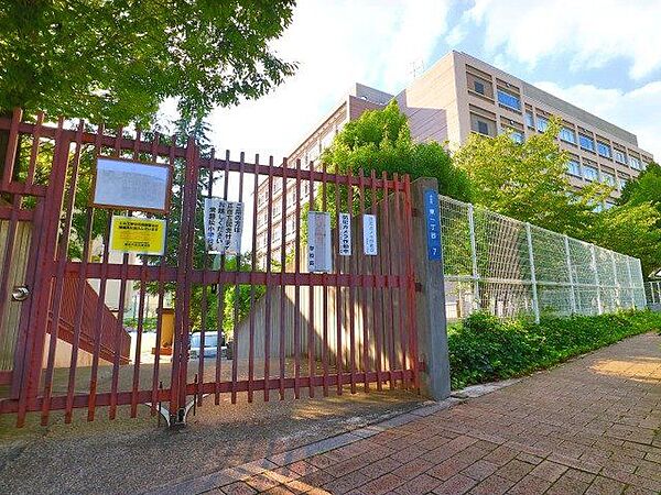 渋谷区立常磐松小学校 900m
