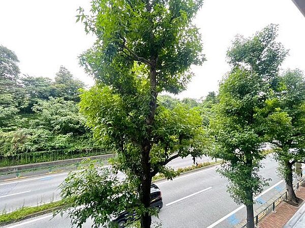 木々を通り抜ける風が心地よく感じられます。