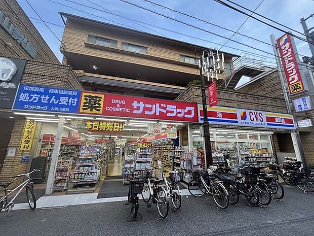 サンドラッグCVS大岡山店 750m