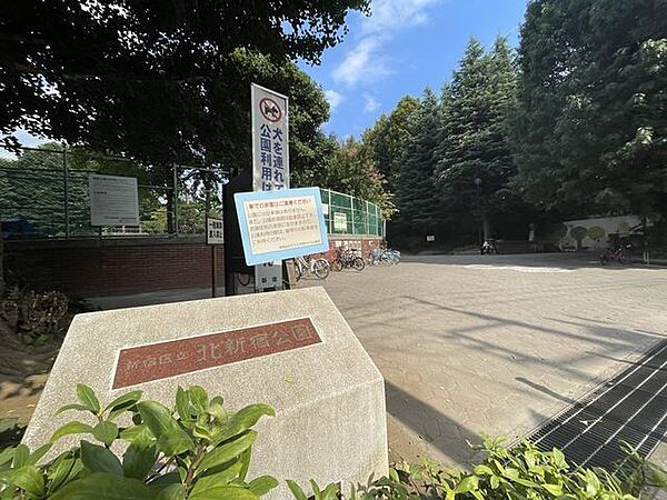 新宿区立北新宿公園 800m
