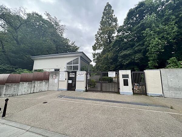 小石川植物園 800m