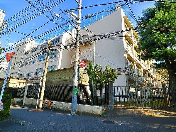 渋谷区立笹塚小学校 800m