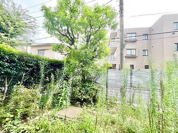 マンションに住みながら庭が持てる喜び。土に触れる機会が増えます。