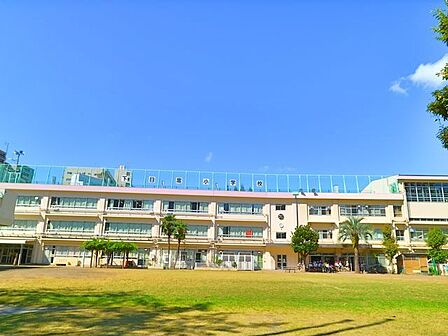 目黒区立下目黒小学校 800m