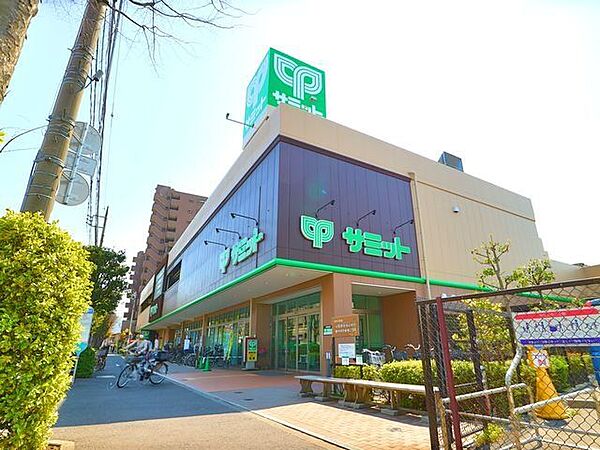 サミットストア野沢龍雲寺店 400m