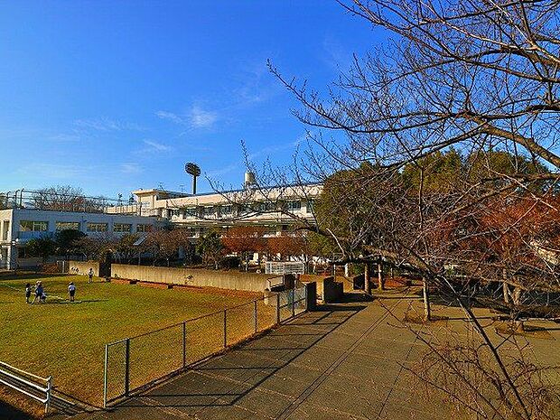 川崎市立西丸子小学校 350m