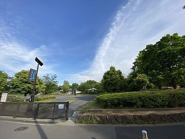 大島小松川公園 260m