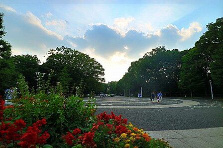 代々木公園 1200m