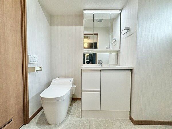 一日の始まりと終わりを心地よく演出してくれる、多彩な機能が備えられたパウダールーム。