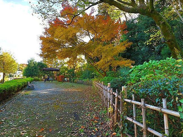 岡本静嘉堂緑地 570m