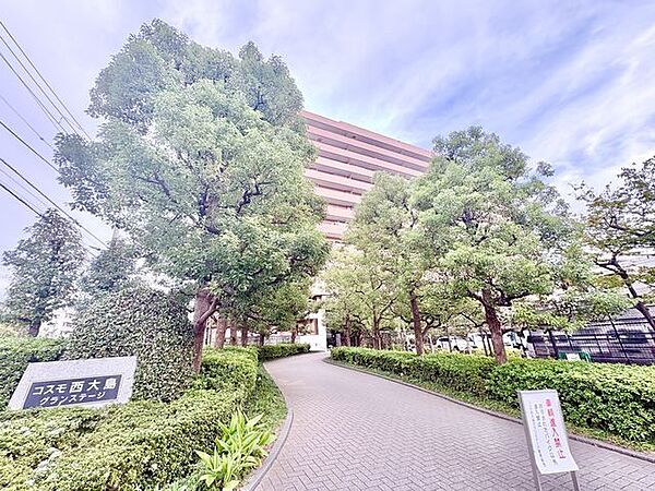 外観：313004950840