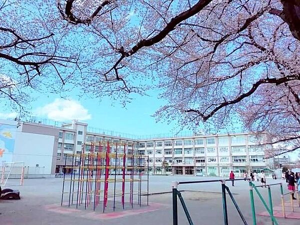 apartment 東京都板橋区栄町18-8
地図を見る