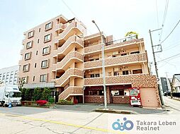 グリーンミユキ朝日