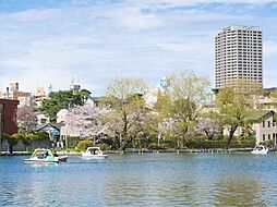 周辺施設の画像