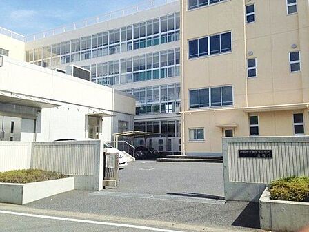 戸田市立美女木小学校 徒歩2分。 100m