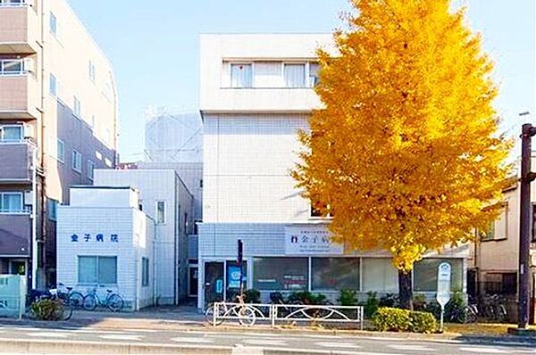 医療法人社団和好会金子病院 徒歩5分。 340m