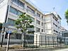 周辺：練馬区立石神井東中学校 徒歩11分。 800m