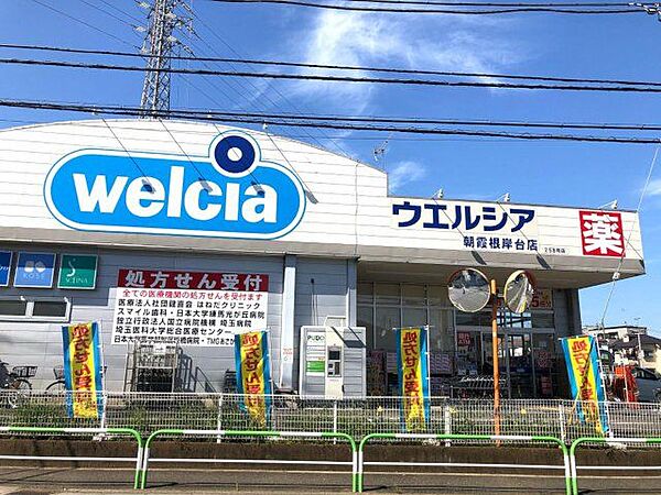 ウエルシア朝霞根岸台店 徒歩7分。 500m
