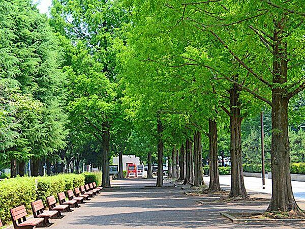 朝霞中央公園 徒歩11分。 850m