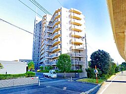 ベルドゥムール川口東