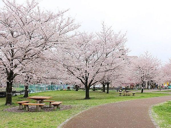 都立城北中央公園 徒歩2分。 100m