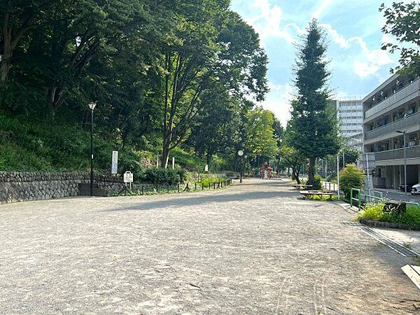 板橋区立志村城山公園 徒歩10分。 800m