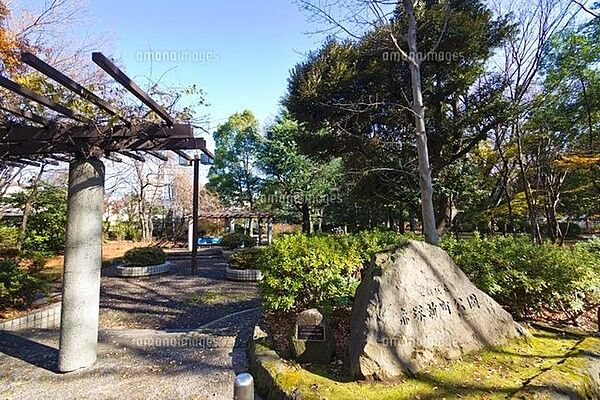 赤塚新町公園 徒歩9分。 720m