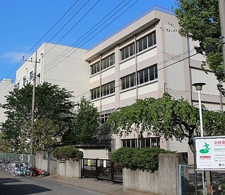 朝霞市立朝霞第五中学校 徒歩7分。 510m