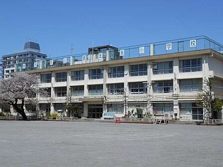 練馬区立豊玉東小学校 徒歩3分。 210m