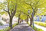 周辺：花と緑の散歩道 徒歩7分。 540m