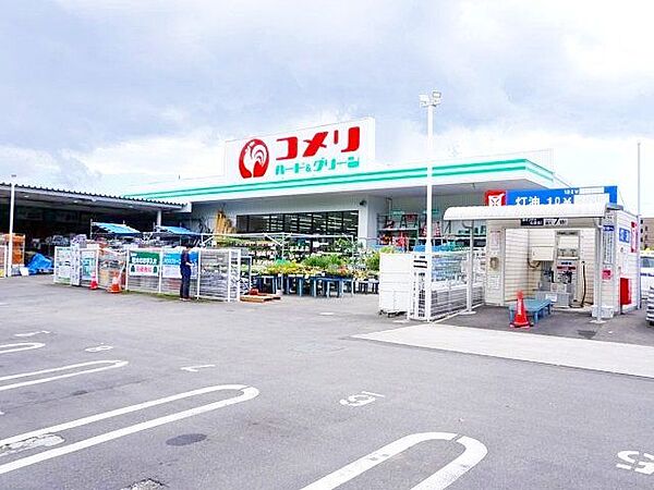 コメリハード＆グリーン大泉学園店 徒歩10分。 750m