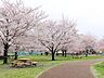 周辺：都立城北中央公園 徒歩8分。 550m