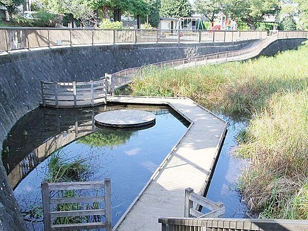 大泉井頭公園 徒歩7分。 550m