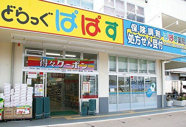 どらっぐぱぱす中板橋店 徒歩4分。 290m