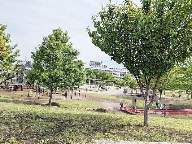 足立区立新田さくら公園 徒歩5分。 330m