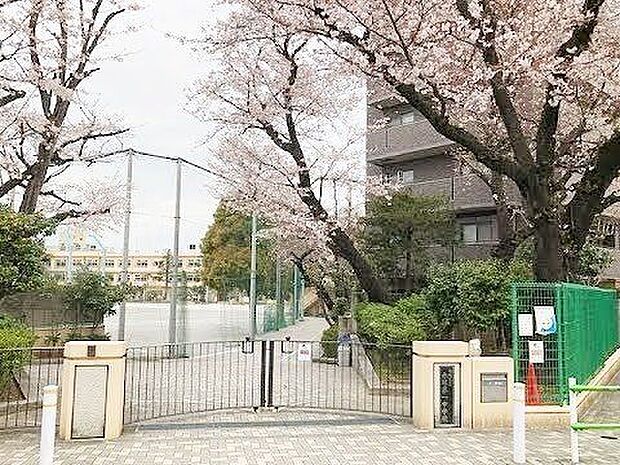 板橋区立赤塚第一中学校 徒歩4分。 290m