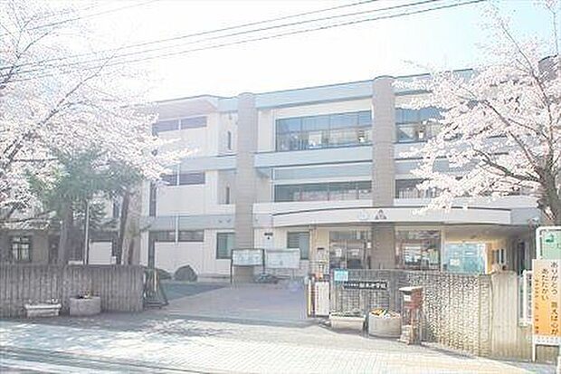 さいたま市立桜木中学校 徒歩14分。 1060m