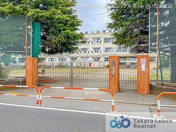 足立区立梅島第一小学校 撮影日(2022-03-29) 160m