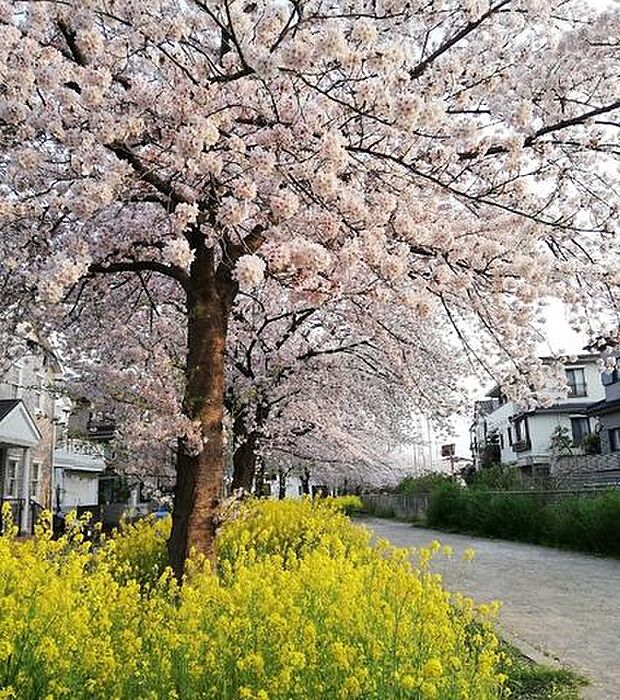 フラワーロード 徒歩9分。 660m