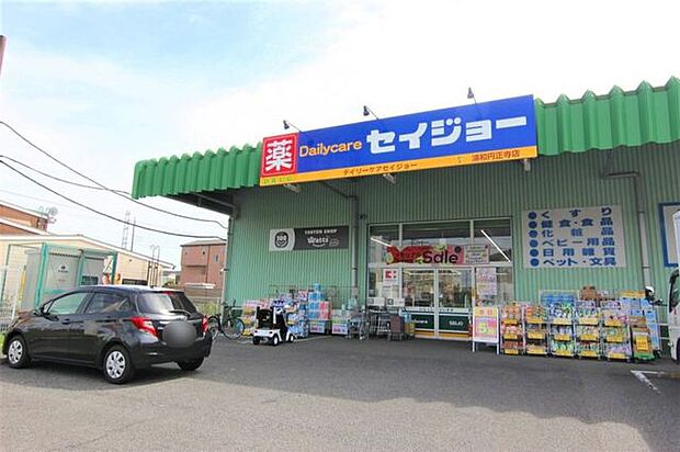デイリーケアセイジョー浦和円正寺店 徒歩10分。 780m