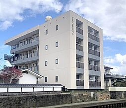 ディマンシェパル 101