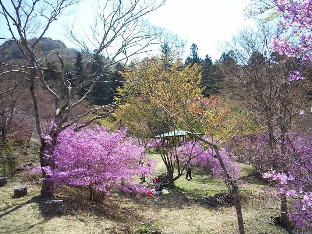detached 鳥取県日野郡日野町黒坂