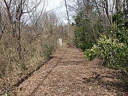 鳥取県西伯郡伯耆町金屋谷237番地14号