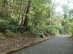 鳥取県西伯郡伯耆町丸山